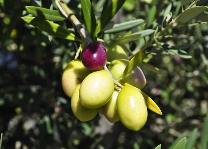 I Graniti Sardi Panzió 3*